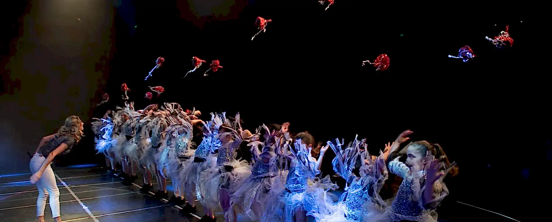 Fulya okulu gösterisinden bir sahne